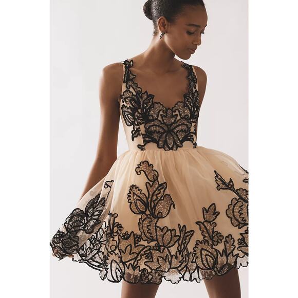 New Anthropologie Maeve Sleeveless V-Neck Lace Fit & Flare Mini Dress $298 SZ 14 - Picture 2 of 8